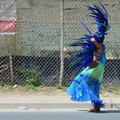 DSC_7696.jpg